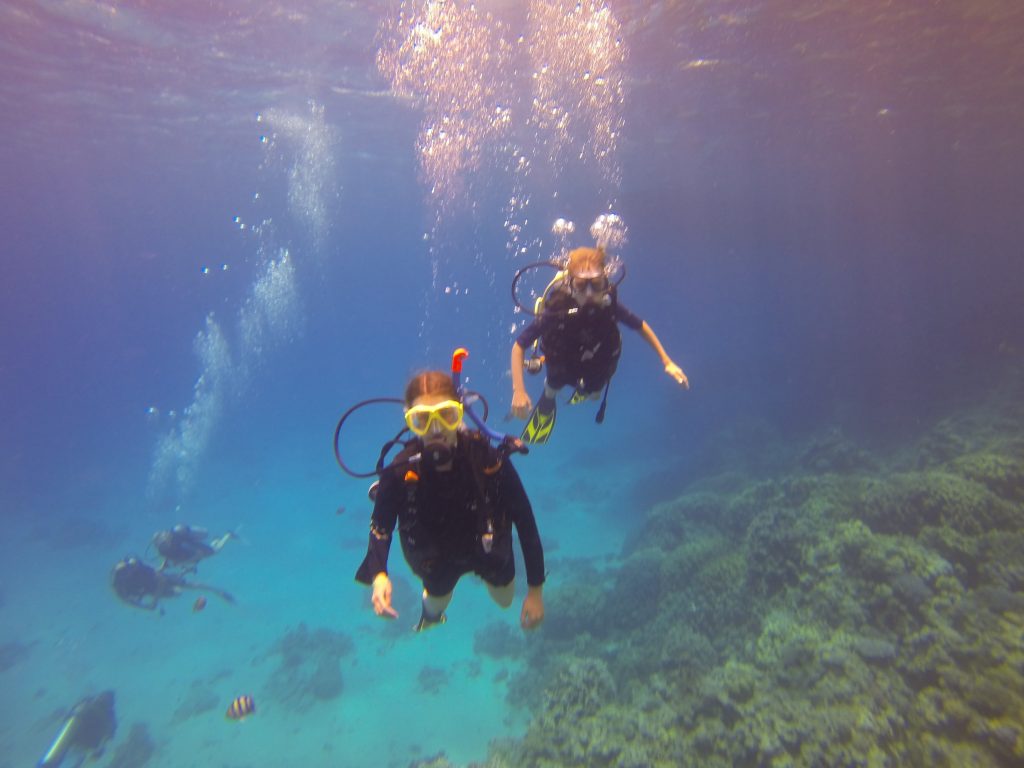 What does a dive course in Hurghada cost? -